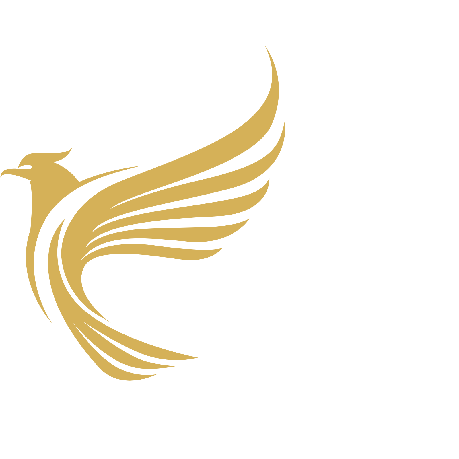 Logo Luxiety